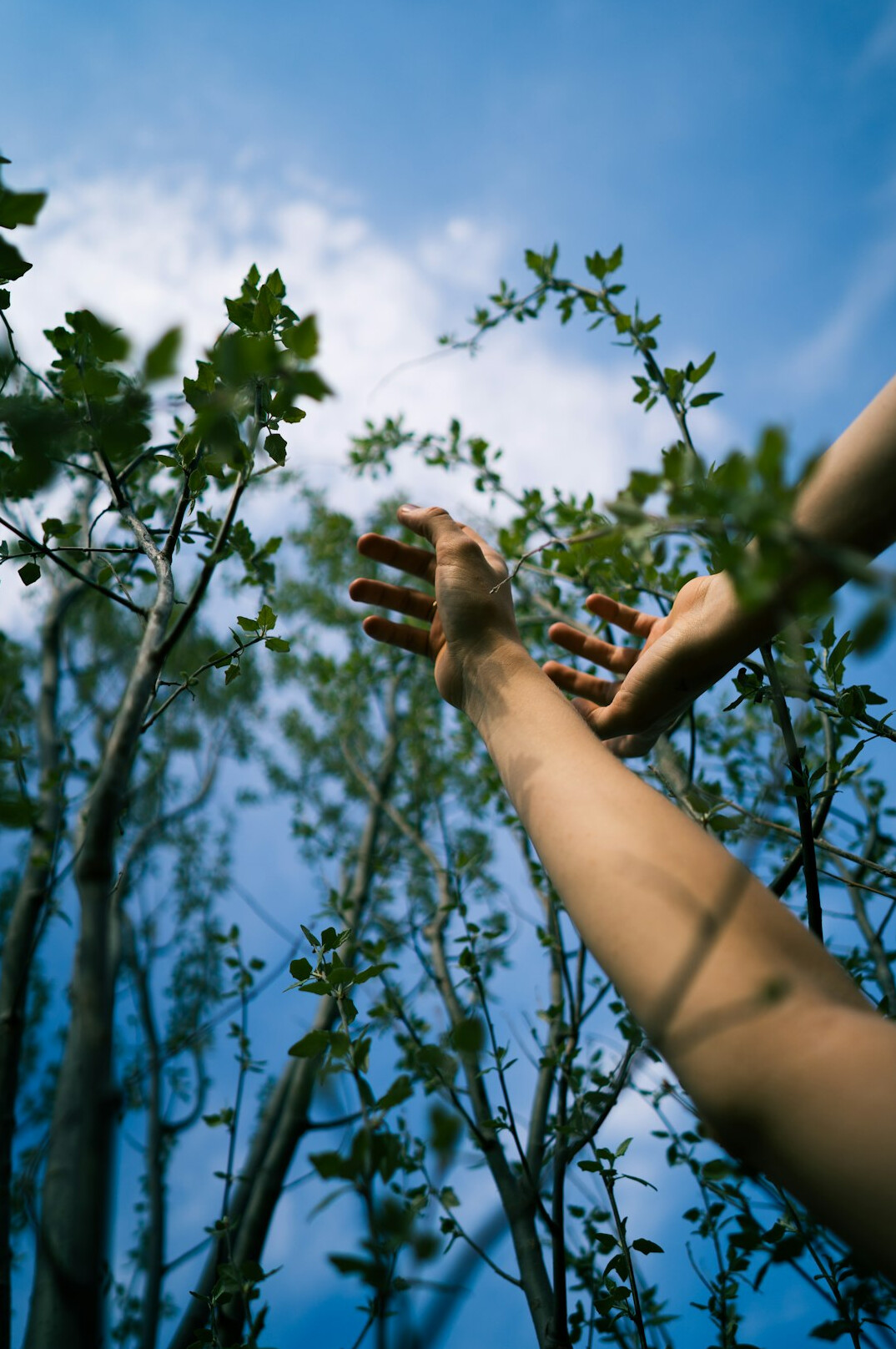 innovative sustainable practices