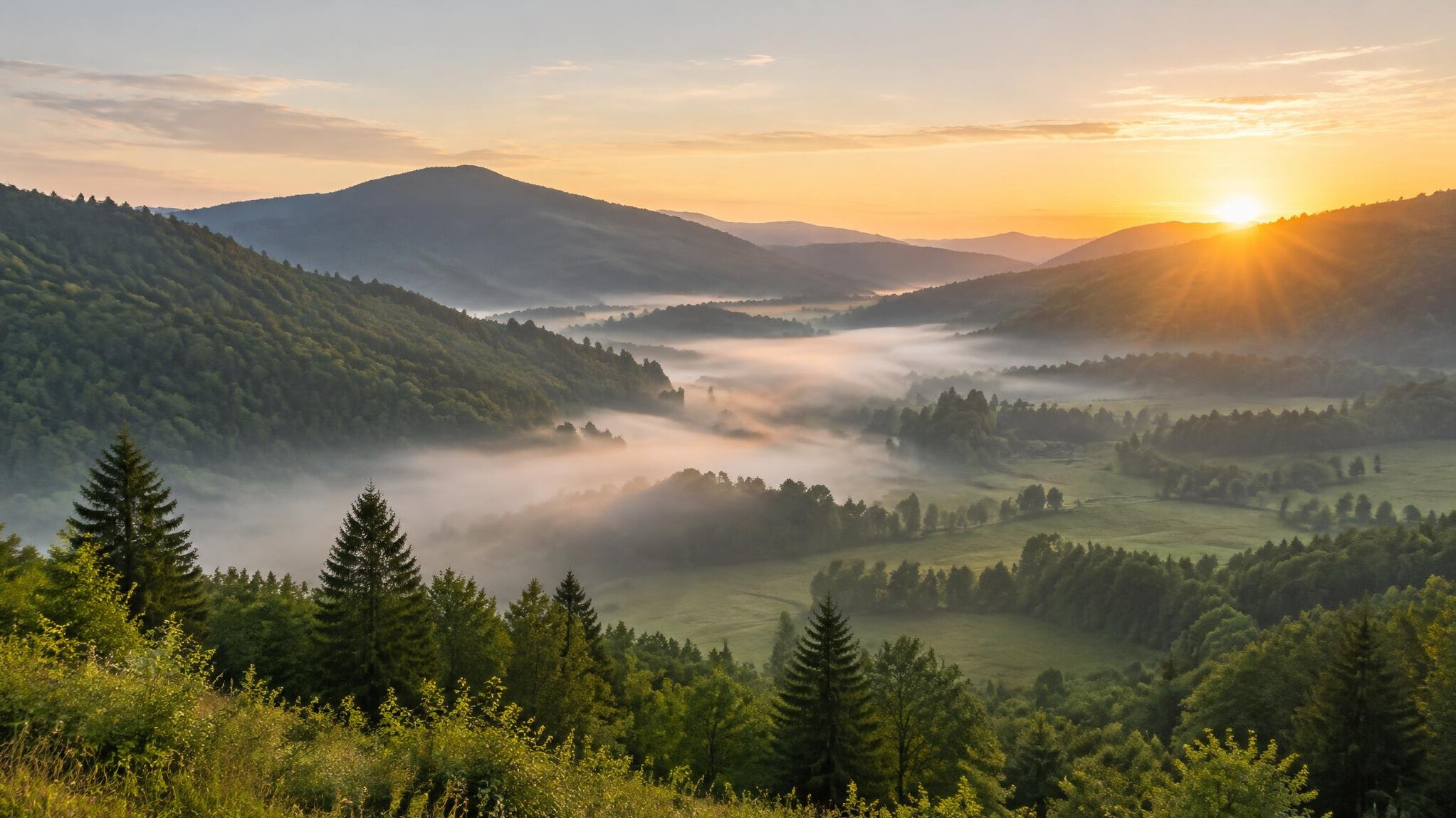 Foggy green valley with forested hills at sunrise